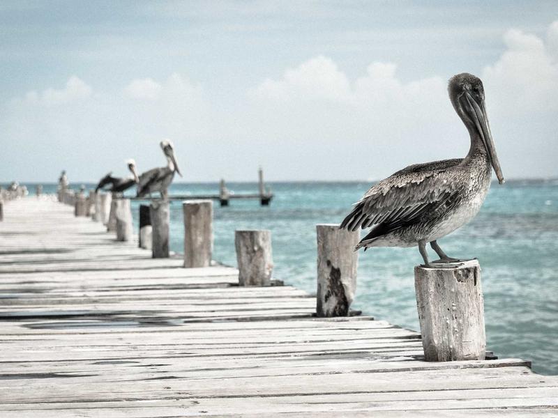 讨好型人格<br>ljvwvuu.cn 拒绝困难症
